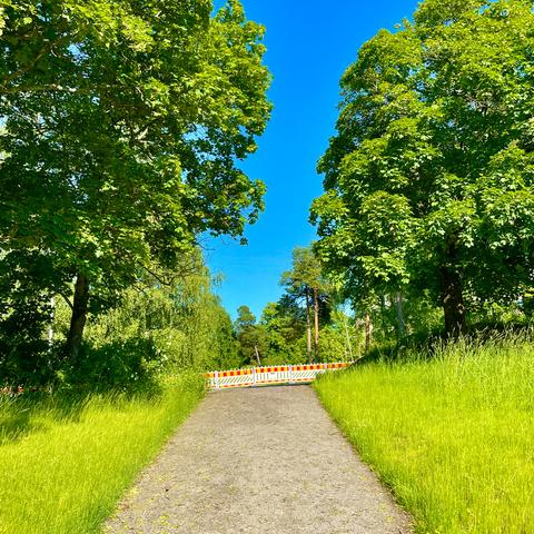 A bright blue sky frames a tree-lined sand path leading to a blocked entrance with barricades, surrounded by lush green grass.