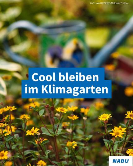 Auf dem Bild sind Blumen zu sehen und unscharf im Hintergrund eine Gießkanne. Der Titel lautet: "Cool bleiben im Klimagarten".