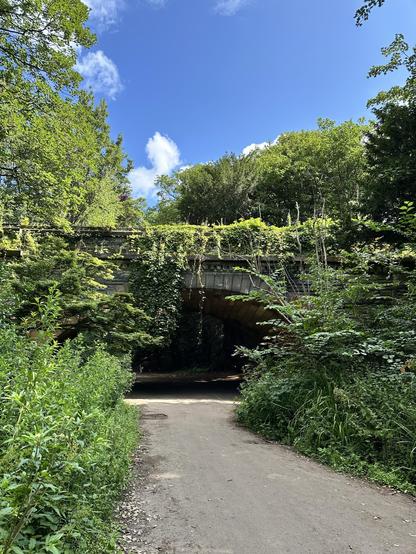 A path through a sunny park, thick with bushes and trees either side. In the middle distance a long-disused railway bridge stretches across the path. The bridge is overgrown with plants, which are trailing down almost to the path below. The sky behind is bright blue with some fluffy white clouds visible.