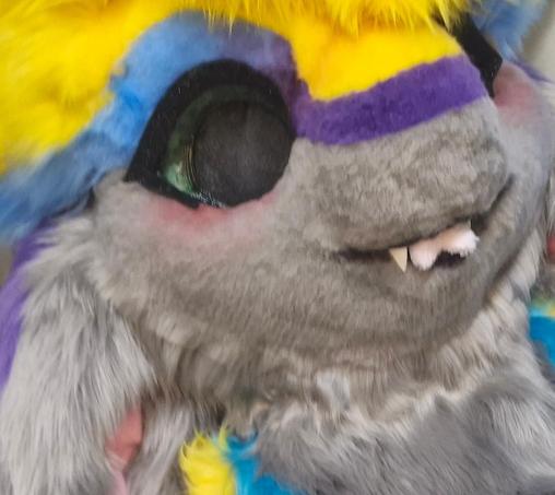 Avali, teeth and tongue