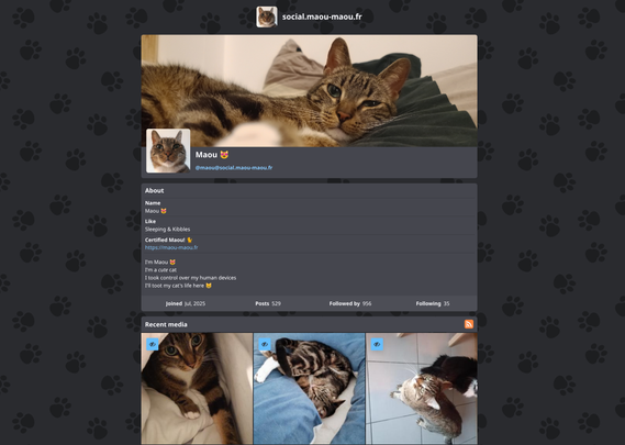Screenshot of Maou's home page hosted on social.maou-maou.fr 😻
Now Maou will also have nice catmoji and the ability to toot long meoowws