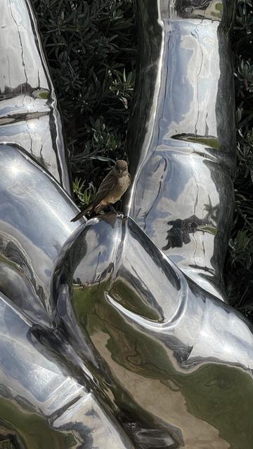 Little bird resting on statue in Beverly Hills