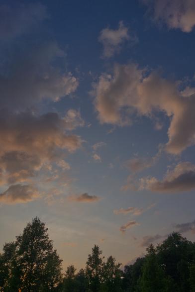 Fluffy clouds tinted gold in a sunset sky ranging from pale orange to blue, with a row of trees below.
