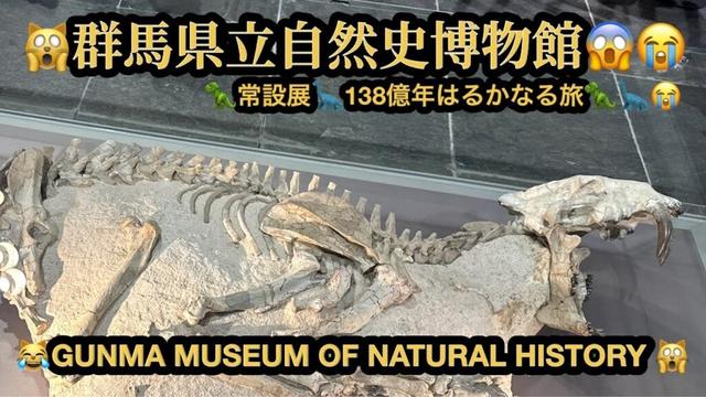 【プレミア】【４Ｋ】🙀群馬県立自然史博物館・１３８億年はるかなる旅😱群馬県富岡市(24m06s）🤣BGM:#riokazumiのピアノ語り