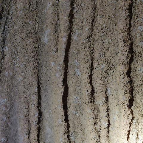 Concretions that built up and then latergoth weathered down again, giving them a porous structure.