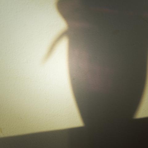 Photo of the shadow of a vase on the wall. One can see that the vase is a reddish one