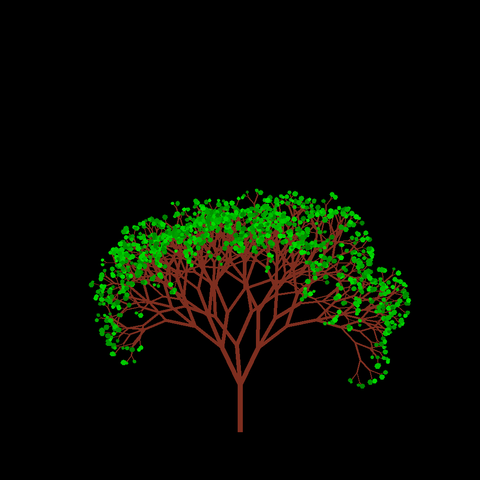 A computer generated fractal tree