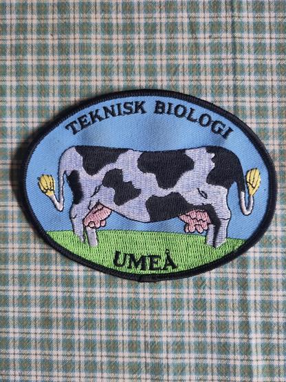 En ko utan huvud, men två backdelar.