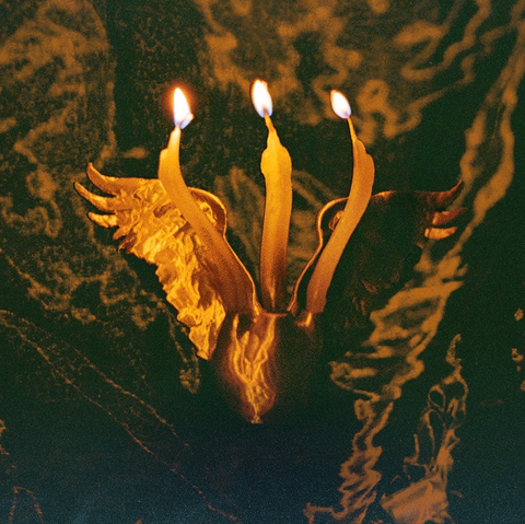 Shmulikraut — Guts Voyage cover art