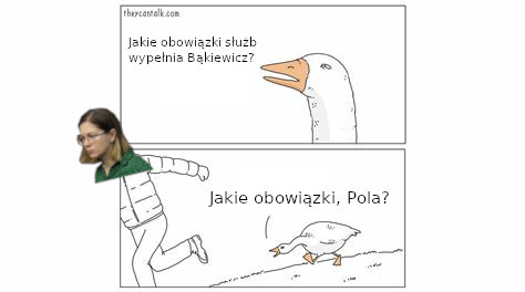 Mem w formie dwupanelowego komiksu. W pierwszym panelu gęś pyta się "Jakie obowiązki służb wypełnia Bąkiewicz?". W drugim panelu gęś goni postać z doklejoną twarzą Pauliny Matysiak i krzyczy "Jakie obowiązki Pola?".