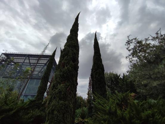 parque bicentenario