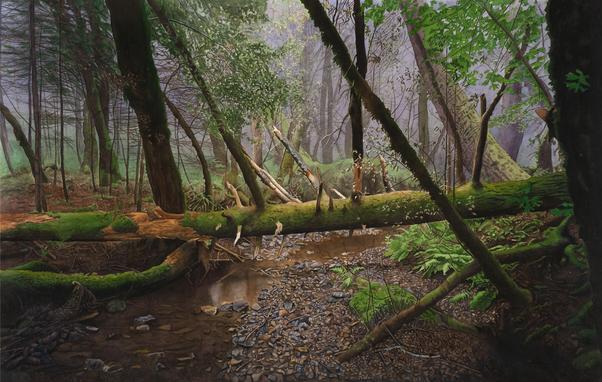 large watercolor painting of a forest on mt. tamalpais in marin county california from a photo taken 33 years ago