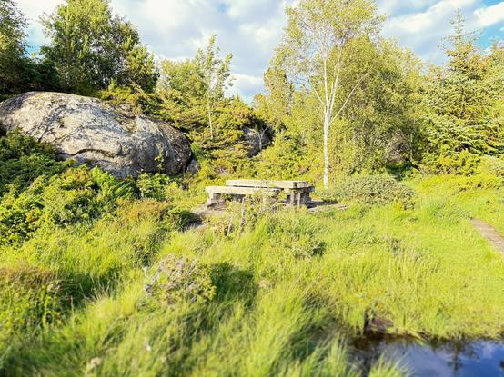 This image shows a peaceful natural landscape featuring a rustic wooden picnic table and benches situated in a lush, green setting. The table is positioned on slightly elevated ground surrounded by tall, wild grasses and vegetation that appear bright green, suggesting this photo was taken during spring or summer.

Behind the picnic area, there are several large granite boulders or rock formations that create a dramatic backdrop. The rocks appear weathered and moss-covered, adding to the natural, wilderness feel of the scene.

The area is densely forested with a variety of trees including what appear to be birch trees (identifiable by their distinctive white bark) mixed with other deciduous trees in full leaf. The forest creates a canopy overhead, with dappled sunlight filtering through.

In the foreground, there appears to be a small body of water - likely a pond or stream - that reflects some of the surrounding greenery. The water’s edge is lined with more tall grasses and marsh-like vegetation.

The sky visible through the tree canopy shows a partly cloudy day with blue sky and white clouds, creating pleasant natural lighting throughout the scene. The overall atmosphere is serene and inviting, suggesting this is a designated rest area or scenic spot along a hiking trail or in a park setting.​​​​​​​​​​​​​​​​