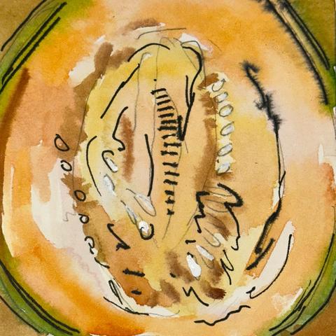 Painting of half of a cantaloupe.