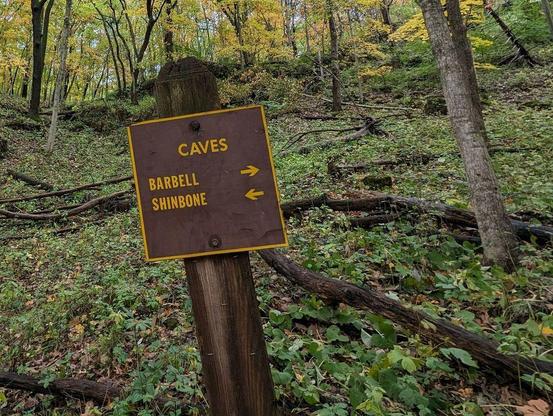 One of a series of photos taken in autumn at a forested midwestern U.S. park featuring a cave system.