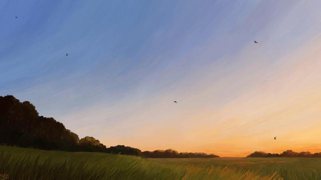 Digital painting of a sunset scene in the countryside, an orange glow in the clear sky where small black birds are flying. The field underneath is all green grass, with trees at different points in the distance.