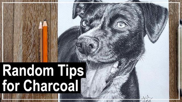 Youtube thumbnail showcasing a realistic dog portrait drawn in charcoal with the text: Random tips for charcoal.