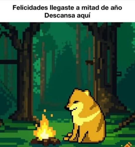 Perrito Cheems en un bosque junto a una fogata. Texto dice: Felicidades, llegaste a mitad de año, descansa aquí.