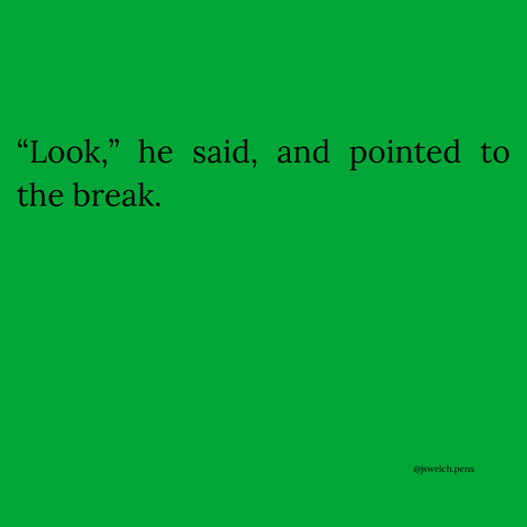“Look,” he said, and pointed to the break.