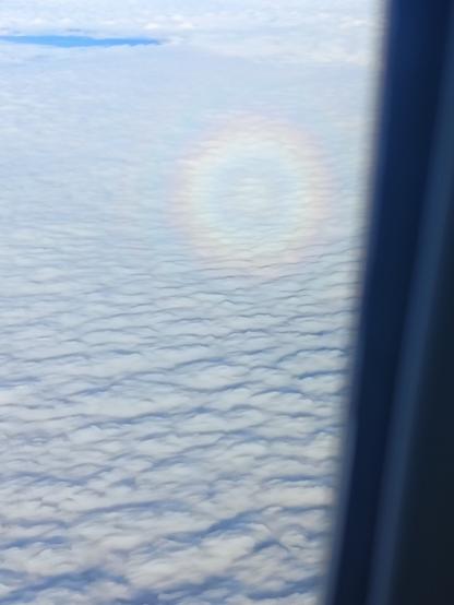Circular rainbow on the clouds below the plane at 10400m altitude