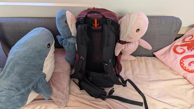 A deep purple, orange and black backpack on my sofa. Eggbert and Rosåhaj are attached to the side clippers. Another shark sitting on the sofa is starring at them.