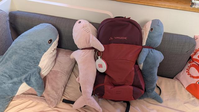 A deep purple, orange and black backpack on my sofa. Eggbert and Rosåhaj are attached to the side clippers. Another shark sitting on the sofa is starring at them.