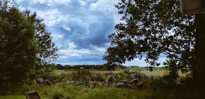 Morning view from the porch, fields n bluesky scattered with clouds, green and lush growth 😀