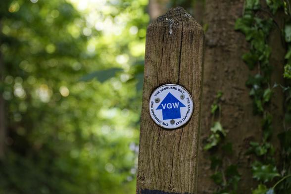 A white circle with a blue arrow with the text VGW. The circle also has inscribed The Vanguard Way. It is affixed to a wooden post and the background is blurry green.