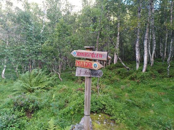 Fingerpost in a forest with 3 directions: Vakkerstolen, Muldal and Reindalsater