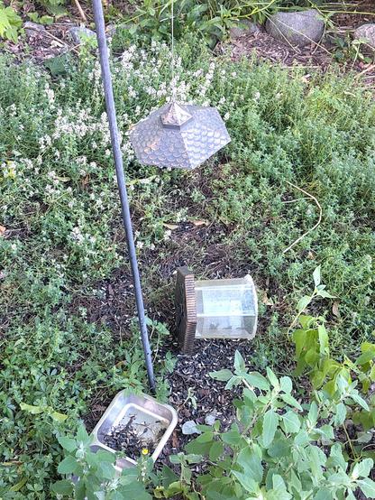 The bird feeder in my garden, torn asunder.