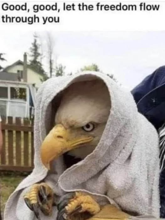 a bald eagle wearing a towel, talons raised, looking like the Emperor on Star Wars. Text reads: good, good, let the freedom flow through you.
