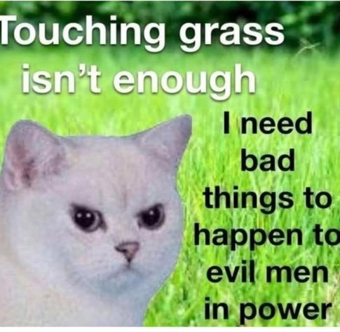 meme with a white cat on a background of green grass. cat appears angry. in white letters above, "touching grass isn't enough." in black letters to the right, "I need bad things to happen to evil men in power."