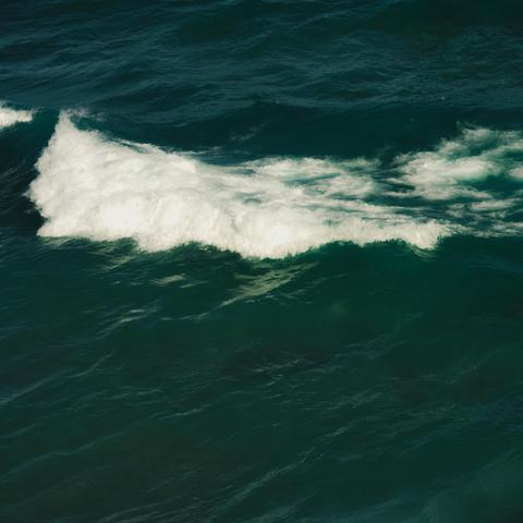 Wave in the ocean with white foam along the crest against deep green water.