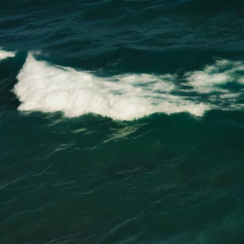 Wave in the ocean with white foam along the crest against deep green water.