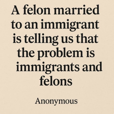 Black artistic text on a beige background. "A felon married to an immigrant is telling us that the problem is immigrants and felons - Anonymous"