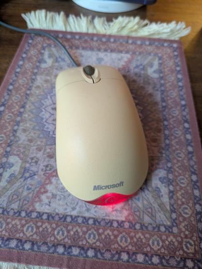 A yellowing Microsoft brand two-button optical mouse. You know the one.
