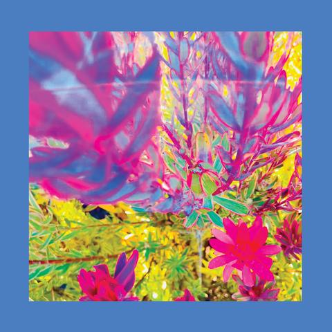 [pochette d'album :] Photographie en gros plan du feuillage d'un arbuste. Les couleurs du cliché ont manifestement été retravaillées : les branches et les feuilles au premier plan, notamment, sont roses, bleues et mauves, sans doute pour rappeler une partie du nom du groupe, The Reds, Pinks and Purples. Le cliché est entouré d'une bordure bleue. La pochette ne comporte aucun texte.