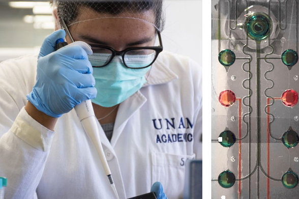medico unam