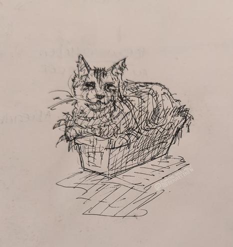 Black Fineliner on paper 

Sketch of a cat lying in a plant pot