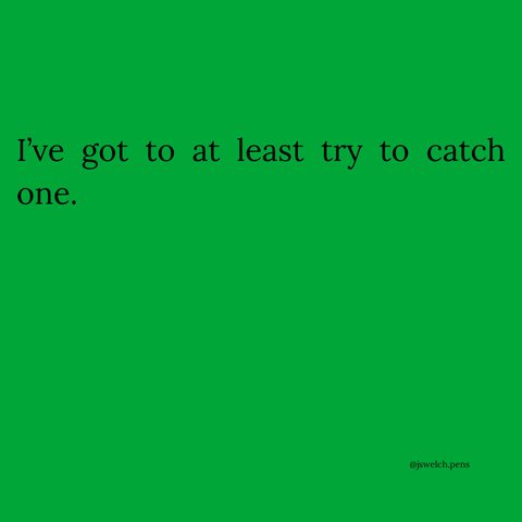 I’ve got to at least try to catch one.