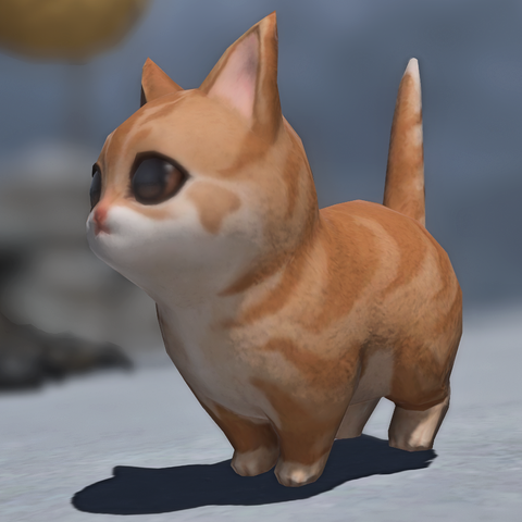 The Tora-jiro minion in Final Fantasy XIV, a chubby (in a good way), two-tone ginger kitten with huge  eyes and huge ears.