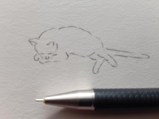 Zeichnung: Katze liegt auf der Seite, den Kopf auf der Pfote