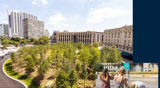 Das Bild zeigt einen neu gepflanzten Stadtwald in Paris