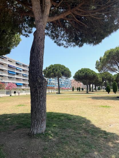 The photo shows a typical south of France resort scenery in a small town (le Grau-du-Roi) that is a port and a beach town.