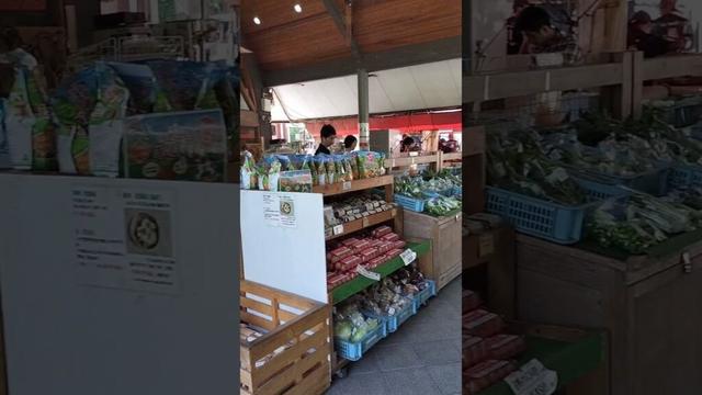 道の駅『吉野路黒滝』 (外の売り場) 2025/6/28 #道の駅 #吉野路黒滝 #奈良県黒滝村 #shorts