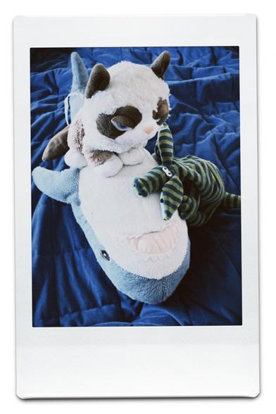 English: A fluffy plush blåhaj is lying on his „back“ on a blue blanket, topped by a plush cat with a grumpy expression and a small striped plushie, a so called Perlsacktier.. 

Deutsch: Ein flauschiger Plüsch-Blåhaj liegt auf seinem „Rücken“ auf einer blauen Decke. Auf ihm sitzt eine Plüschkatze mit mürrischen Gesichtsausdruck und eine kleines gestreiftes Plüschtier, ein Perlsacktier.