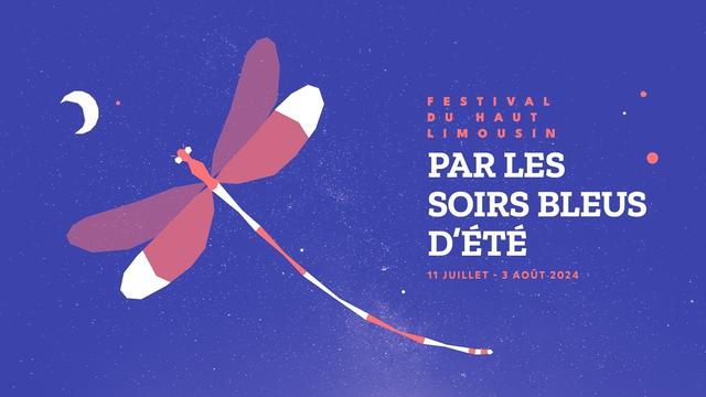 Visuel du festival, illustré par un dessin de libellule sur fond de ciel étoilé.