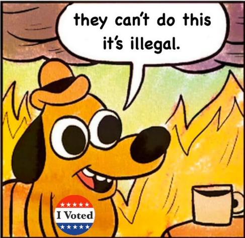 A cartoon dog from the 'This is Fine' meme, wearing a hat and an 'I Voted' sticker. The dog is smiling despite being surrounded by flames, and a speech bubble above its head says 'they can't do this it's illegal.' A mug is on a table to the right.