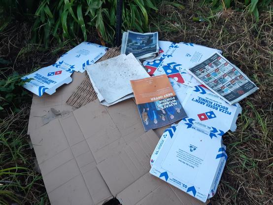 Piles of cardboard and old newspapers on top of the grass. It's only covering a small amount because I put quite a few layers on