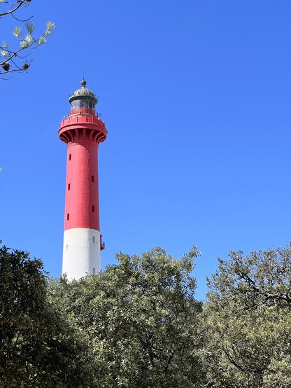 Le sommet du phare émerge des arbres